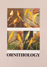 1991 Alphabet Set