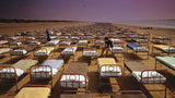 Momentary Lapse Of Reason