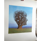 Tree of Half Life